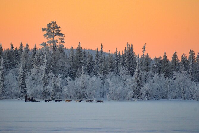 Sunrise Zen Husky Tour (10:00 to 13:00 - sitting on the sled) - Snowy woods, frozen lakes, and possible wildlife