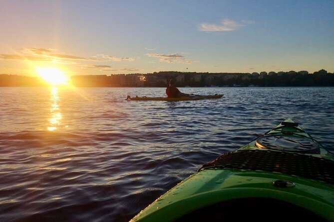 Sunset Kayak Tour in Central Stockholm and Swedish Fika - Swedish fika beside the water