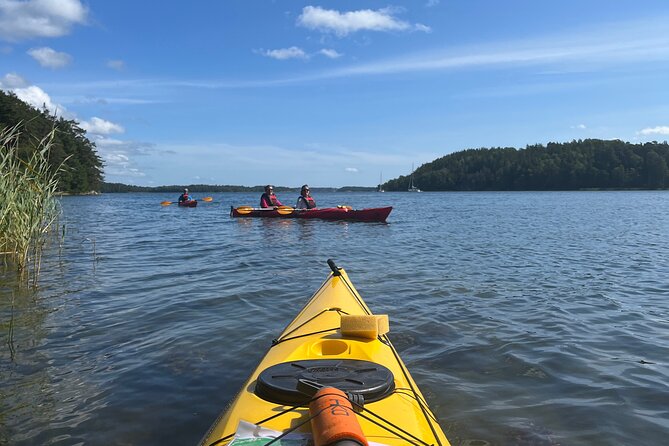 Sunset Kayak Tour in the Stockholm Archipelago + Swedish Fika - A Swedish fika break on an island