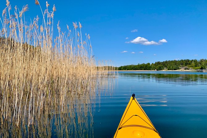 Sunset Kayak Tour in the Stockholm Archipelago + Swedish Fika - Is $215.95 a fair price?