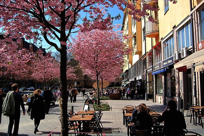 The Södermalm Tour in Stockholm - Why Södermalm Feels Different from Central Stockholm