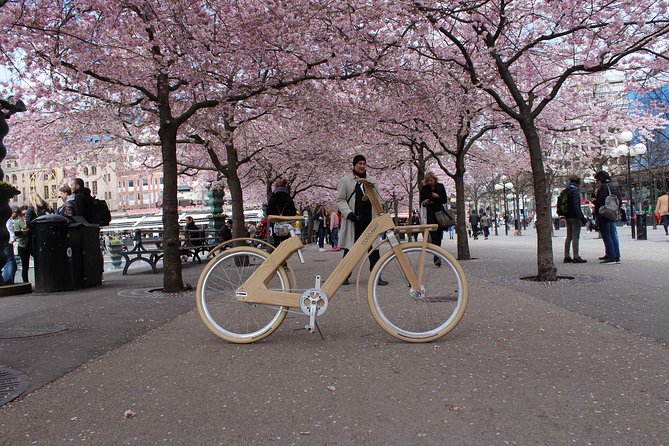 The Wooden Bicycle Tour in Stockholm - What the two-hour itinerary delivers