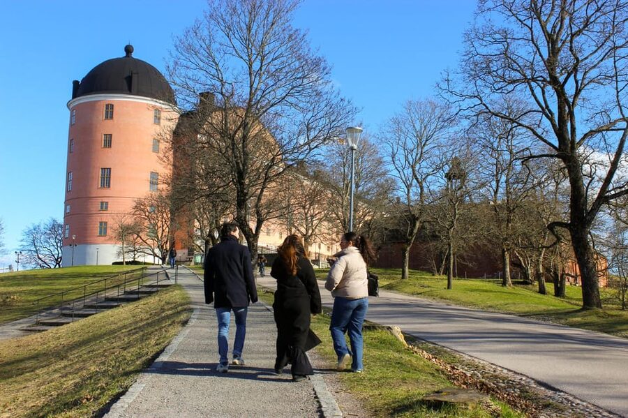 Uppsala: City Highlights and Hidden Gems Walking Tour - Uppsala Cathedral and the Vasa connection