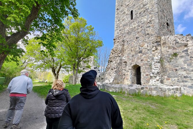 Viking History, Runes & Countryside 9h Tour to Sigtuna & Uppsala - A full day among Sweden’s Viking monuments