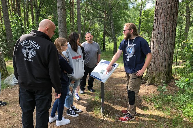 Viking History Small Group Tour from Stockholm: Half Day Including Sigtuna - What the small-group setup really means