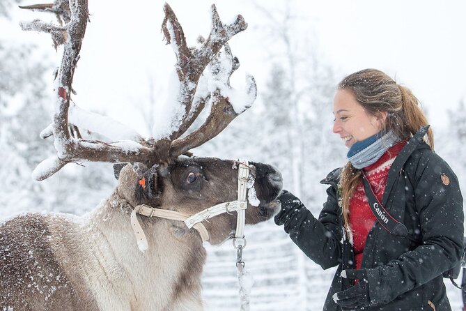 Visit the Sami and Reindeer in a Day Trip from Abisko - Nutti Sámi Siida and the Sami way of life