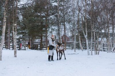 Visit the Sami and Reindeer in a Day Trip from Abisko
