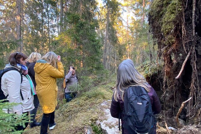 Wolf and Wildlife Tracking in Sweden - Key points before you book